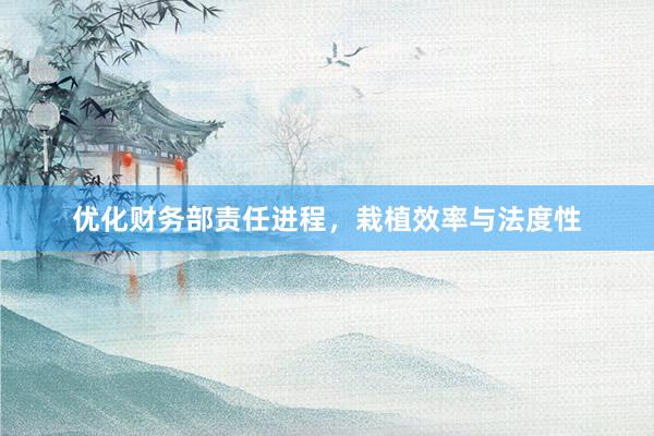 优化财务部责任进程，栽植效率与法度性